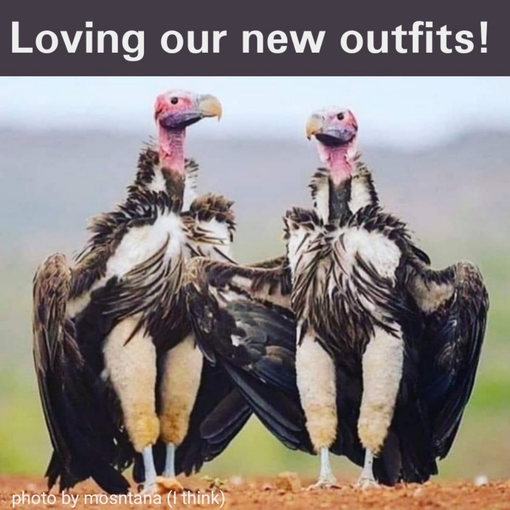 Find outfits you love for less!